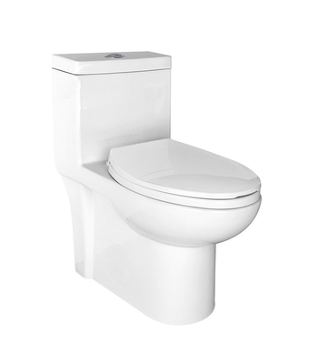 शौचालय में 12 इंच रफ सिंगल फ्लश साइफन एस ट्रैप डब्ल्यूसी पूर्वी जल कोठरी