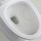 स्टर्लिंग लम्बी बाथरूम शौचालय सतह स्वयं सफाई 690X362X765MM