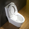 दोहरी फ्लश पानी सेवर टाइटन लम्बी शौचालय अमेरिकी कपक मानक