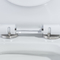 ओडीएम दोहरी फ्लश लम्बी शौचालय साइड होल्स के साथ अमेरिकी मानक