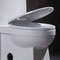 साइड फ्लश मैप के साथ कॉम्पैक्ट वन पीस शौचालय 1000 अमेरिकी मानक 1 पीसी शौचालय