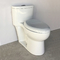 एक टुकड़ा लम्बी शौचालय में 10 इंच खुरदरा 1 टुकड़ा आराम ऊंचाई शौचालय