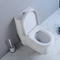 1-टुकड़ा 1.1 Gpf/1.6 Gpf उच्च दक्षता वाला दोहरा फ्लश सफेद रंग में सभी में एक शौचालय