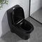 सिरेमिक एक टुकड़ा शौचालय लंबा अमेरिकी मानक कोई ढीला सीट कमोड नहीं: