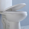 क्यूपीसी अमेरिकी मानक दो टुकड़ा शौचालय लम्बी बाउल 2 टुकड़ा डब्ल्यूसी फ्लश वाल्व