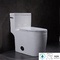 अमेरिकी मानक एक टुकड़ा छुपा ट्रैपवे शौचालय दौर 0.8 जीपीएफ