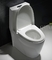 Map1000 डुअल-फ्लश लम्बी वन-पीस टॉयलेट सीट में छोटा बाथरूम शामिल है