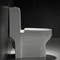 एडीए आज्ञाकारी दोहरी फ्लश शौचालय सीट 1 टुकड़ा 1.28gpf/4.8lpf