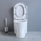 शारीरिक रूप से विकलांग व्यक्ति के लिए वाणिज्यिक एडीए बाथरूम शौचालय
