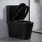 1.6 जीपीएफ मैट ब्लैक ड्यूल फ्लश लम्बी एक टुकड़ा शौचालय अमेरिकी मानक