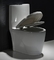 कम प्रोफ़ाइल एक टुकड़ा लम्बी शौचालय कमोड पूरी तरह से घुटा हुआ साइफन जेट फ्लश