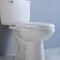 उच्च दक्षता दोहरी फ्लश 2 टुकड़ा शौचालय टैंक सेट Asme A112.19.2 Csa B45.1
