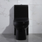 काला एक टुकड़ा लम्बा शौचालय 1.6 जीपीएफ साइफन जेट शौचालय फ्लशिंग सिस्टम